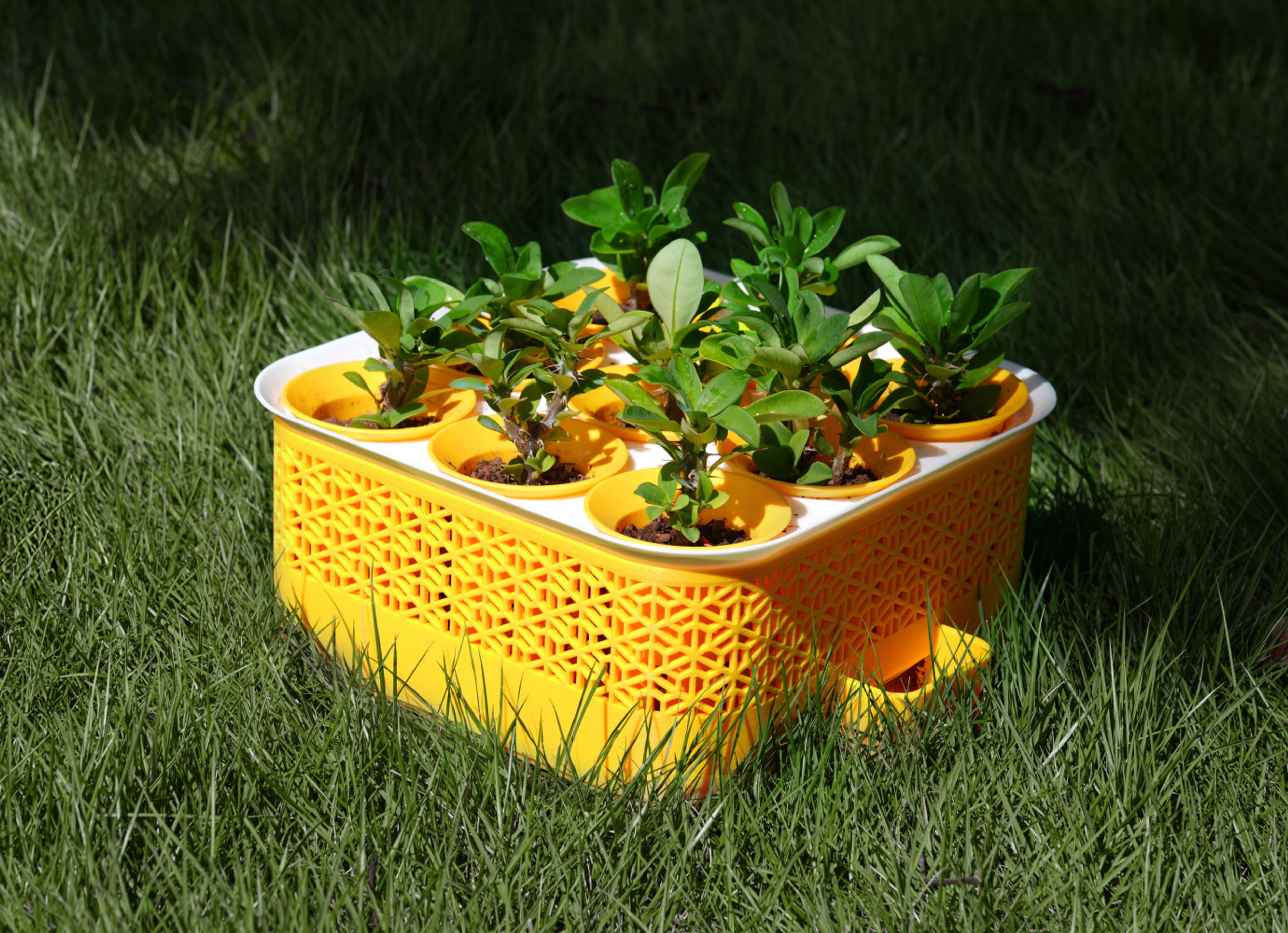 Seed Starter: PA6-GF