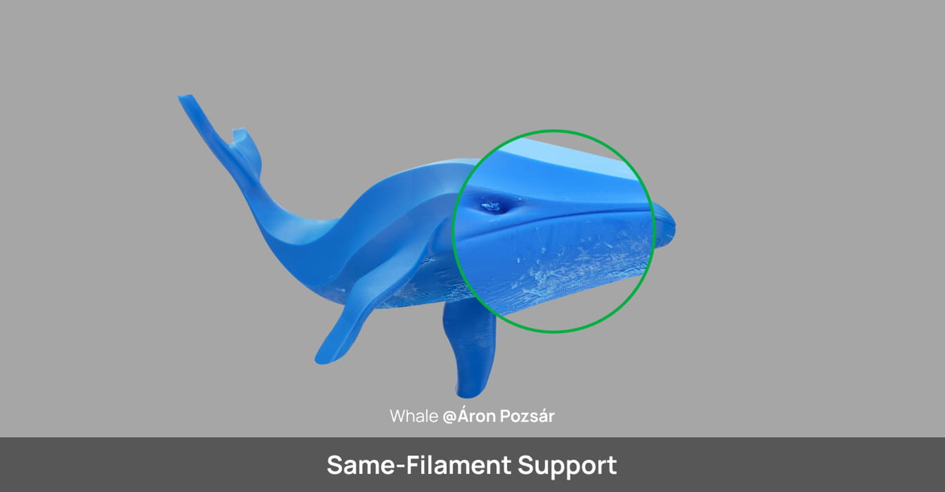 Support for PLA (New Version) | Bambu Lab EU Shop