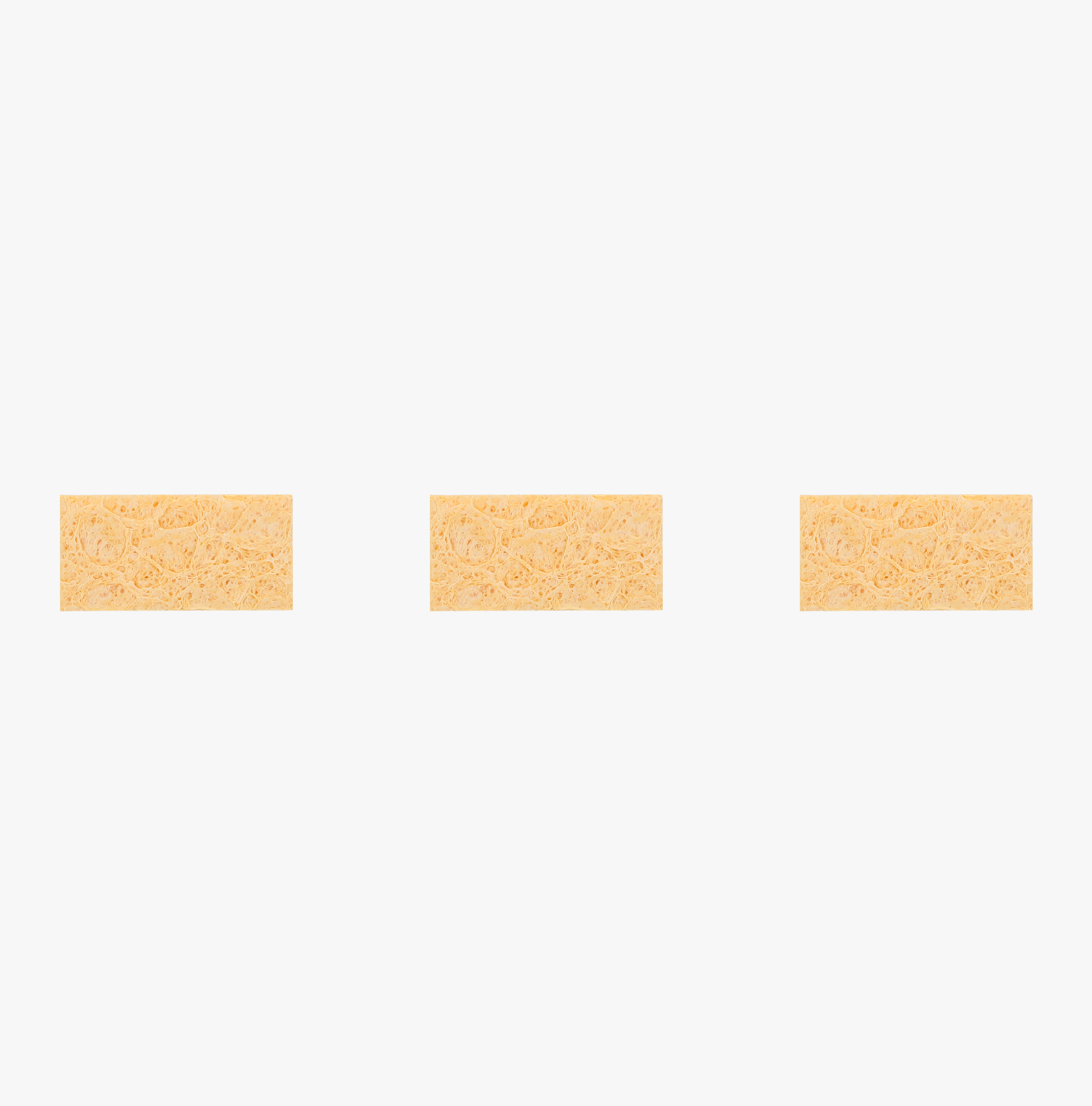 sponge.ページ Sponge with sampling stick for salmonella and listeria